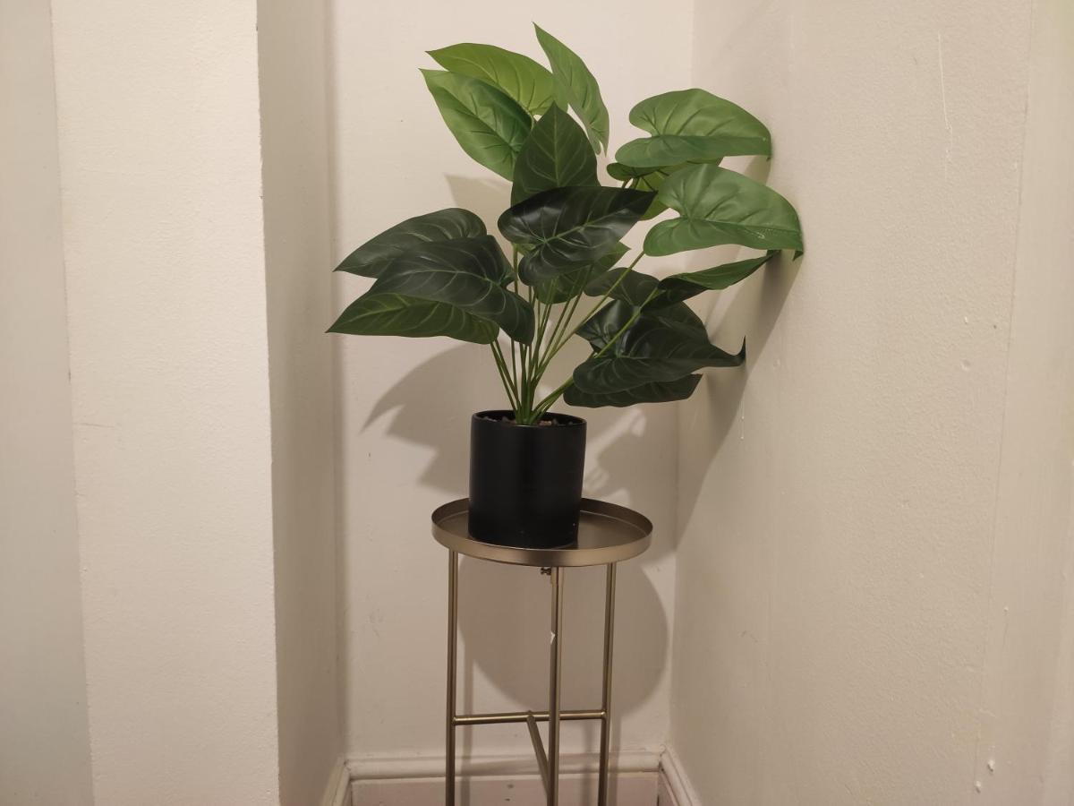 Whitchurch 1 Bedroom Apartment كارديف المظهر الخارجي الصورة